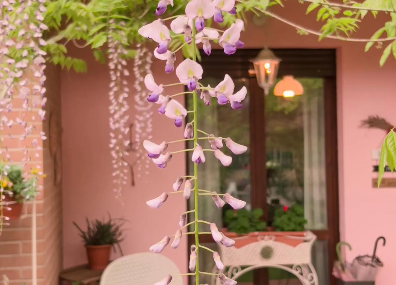 Bed & Breakfast Bed and Breakfast Il Giardino Di Cristina Vagliagli Italia