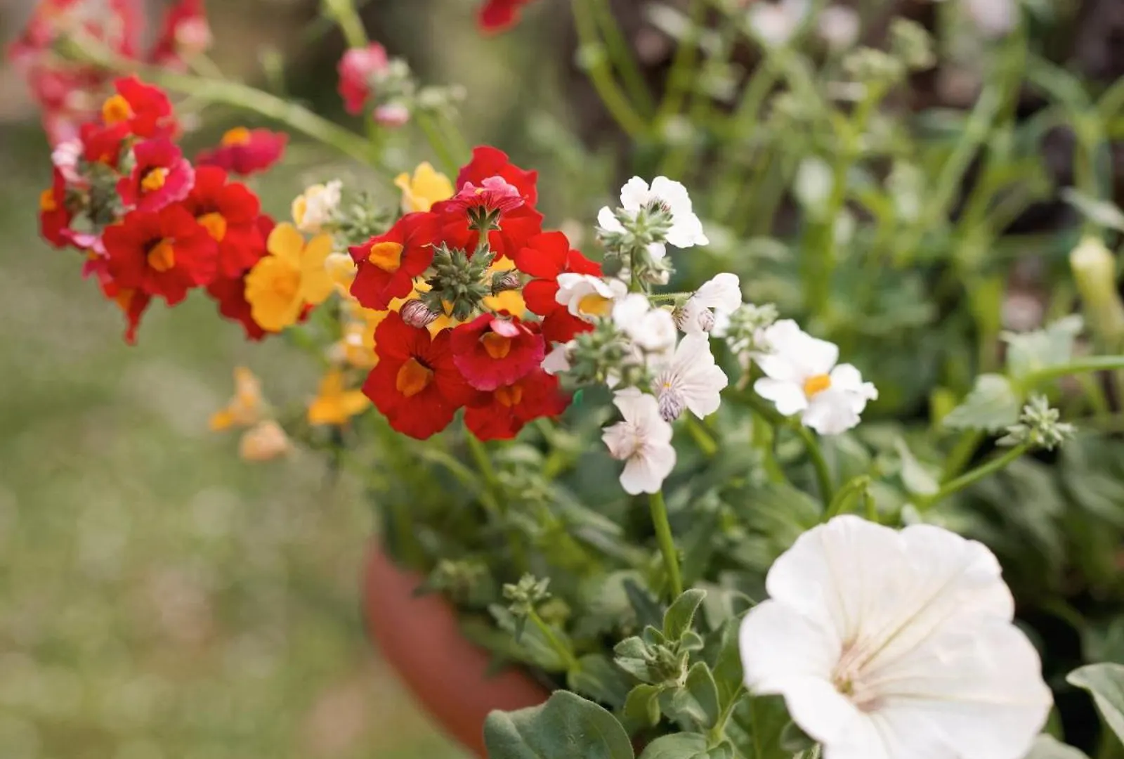 Bed & Breakfast Bed and Breakfast Il Giardino Di Cristina Vagliagli