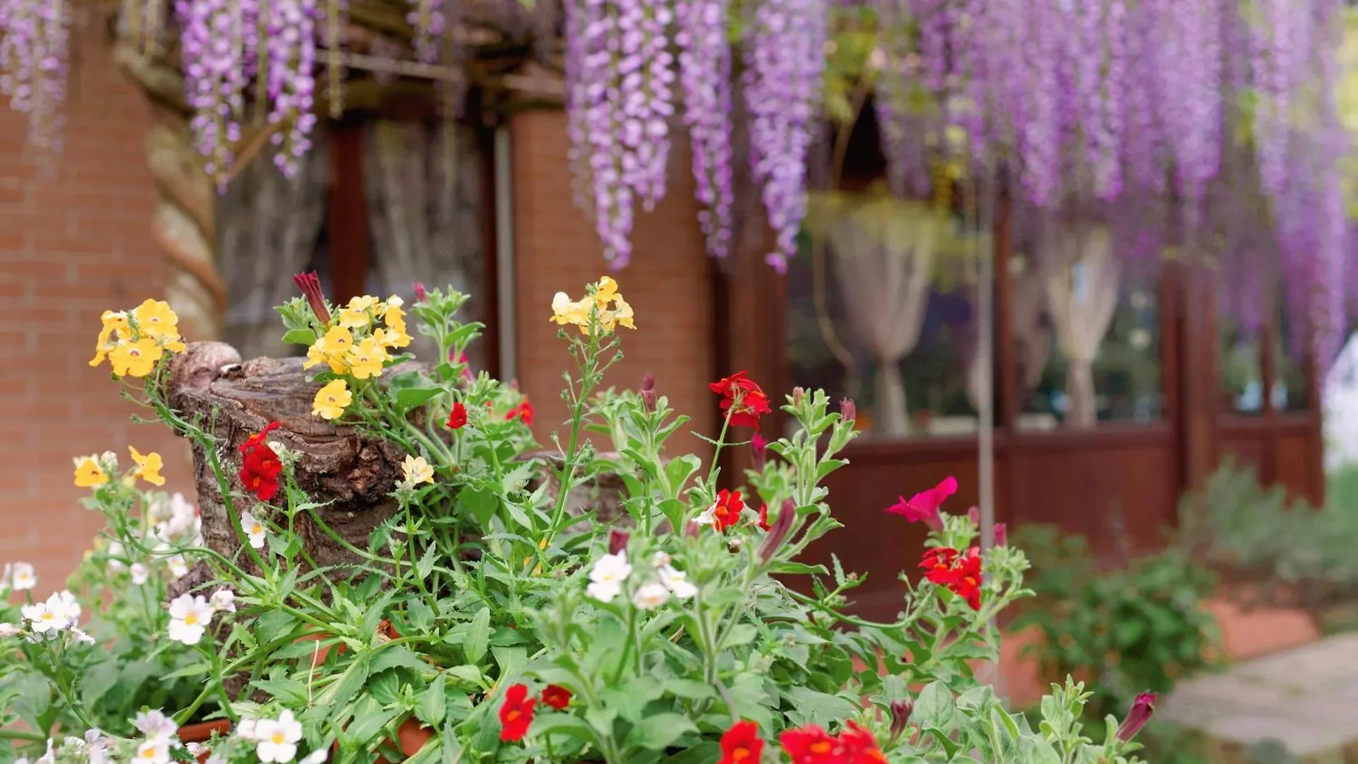 Bed & Breakfast Bed and Breakfast Il Giardino Di Cristina Vagliagli
