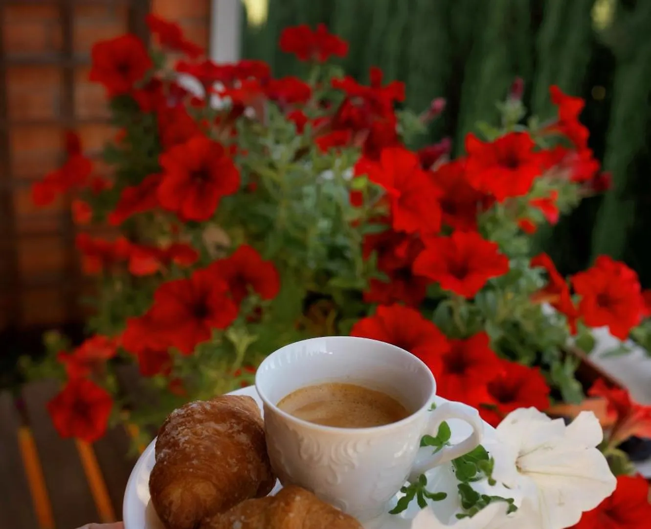 Bed and Breakfast Il Giardino Di Cristina Vagliagli