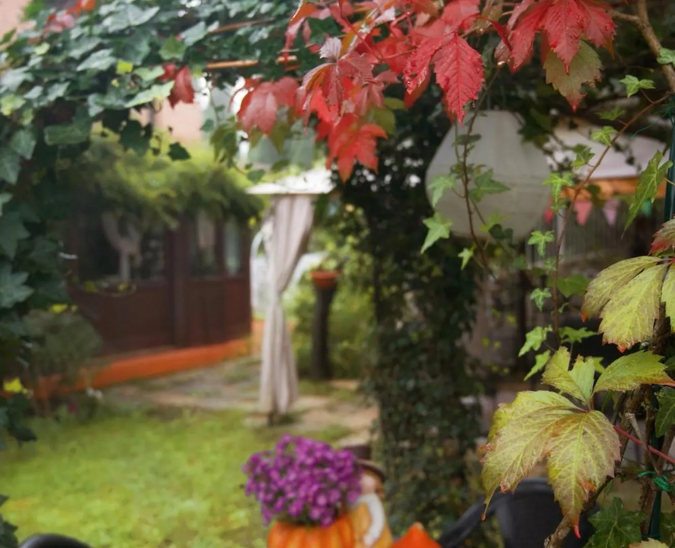 Bed and Breakfast Il Giardino Di Cristina Vagliagli 0*,  Italia